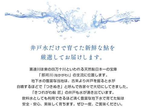 小松原様専用+喜連川湧水育ち鮎塩焼き 10尾入り×2セット【夏ギフト】【お中元】【お歳暮】「熨斗対応可」