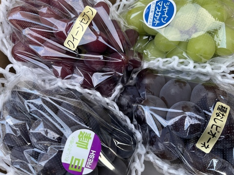 【福袋2025】3~5品種お楽しみ♪ ぶどう詰め合わせ＜シャイン1房は確約＞