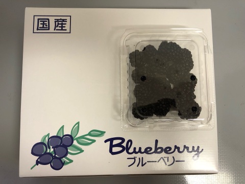 とってもジューシー！フレッシュオーガニックブラックベリー 100g×8パック