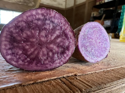 じゃがいも5種の彩りセット　1kg×5種