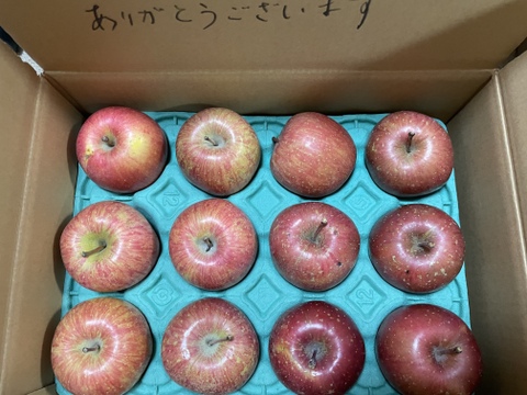 何が入るかお楽しみ！そのまんまりんご＋「わくわくりんご箱」約3kg箱　9〜11玉 食べ比べセット！