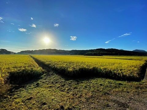 自然栽培米「宇米ーうまいー」　大分県宇佐市産ヒノヒカリ玄米１０㎏