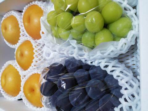 完熟シャインマスカット&ピオーネ&和梨セット(大)