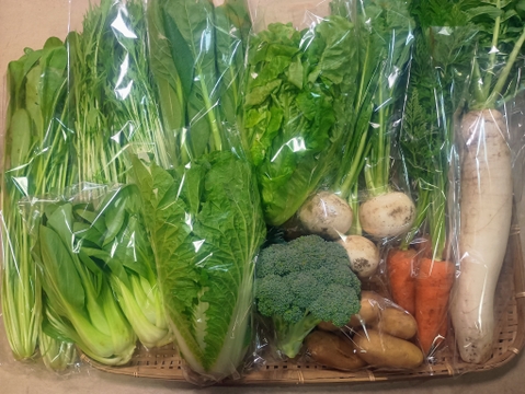 旬の野菜セット７～8品【栽培期間中農薬・化学肥料不使用】