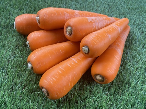 甘～い香り！生で美味しい！美潤にんじん🥕箱込み5ｋｇ