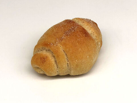 全部有機！【福袋】2026ごほうび1：パンセット⑯+シフォンケーキ　Plain：麦の栽培から一貫生産　自然栽培有機小麦のみ使用したバターがおいしい有機パン＆有機シフォンケーキ