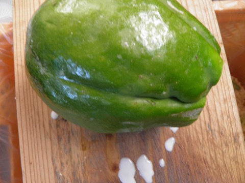 【冬ギフト】【増量中】奄美大島産カリカパパイヤ！