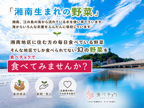 【6月限定3セット　500円引き　60サイズ】神奈川県産　茎ブロッコリー（スティックセニョール）
