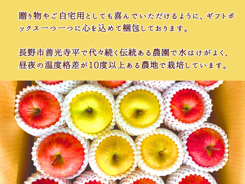 シナノゴールド６玉 ギフトボックス【2025先行予約】【信州長野県産】※10月下旬より発送開始