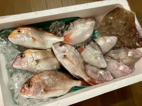 【最大１ヶ月待ちになります🙇】🐟未利用魚🐟️訳ありを安くお得に！漁師の分け前セット３㎏程度