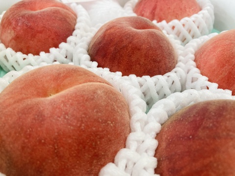 🍑夏ギフト🍑果汁たっぷり！旬の白桃・品種おまかせ（約2kg・6〜8玉入り）（贈答用）