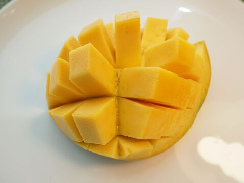 家庭用　高糖度で濃厚な味の完熟『紀州美浜しおさいマンゴー』2～3玉 0.8kg