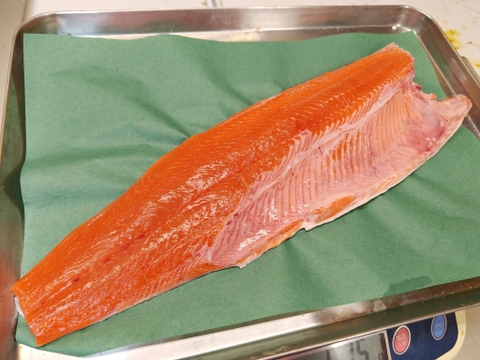 【迷える鮭】時知らず/トキシラズ/原体2kg/半身/フィレ1枚【冷凍】