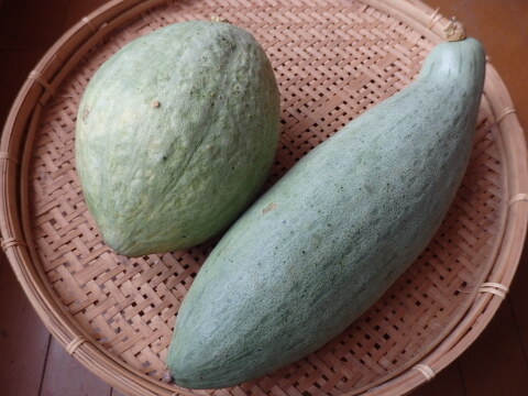 【自然栽培】カボチャ（5kg）