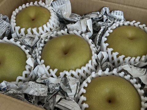 令和8年8月発送【予約】梨 幸水 良品2.2kg‼️ 長野県産