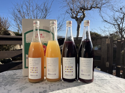 【福袋】【冬ギフト】ワイン用ぶどうで作ったジュース　4品種4本　飲み比べセット　720ml✖️4本