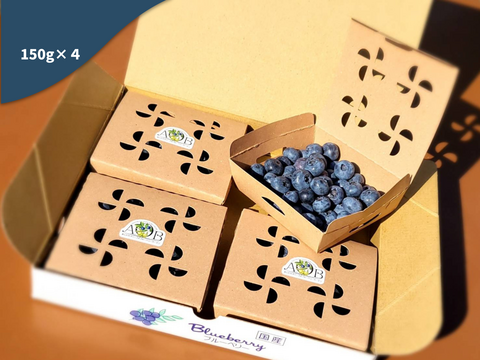 農薬不使用！旬のブルーベリーを食べ比べ！(150g×４)