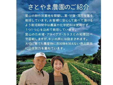 熟成焼芋の蜜を絞り出した天然１００％のシロップ　里山の芋蜜　１００ｇ×３個