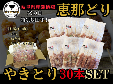 【父の日ギフト】産地直送！ 『恵那どり』 焼くだけ簡単✨やきとりSET（冷凍）