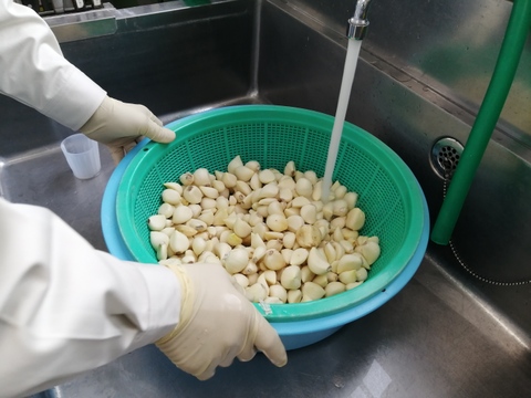 青森県産　冷凍おろしにんにく500g