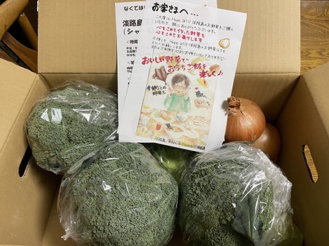 淡路島からのブロッコリー4株🥦　特別栽培農産物