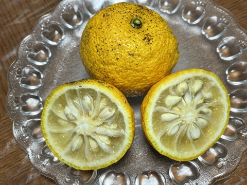 😊【訳あり】甘味と程よい酸味の藤中みかん4㎏香り際立つユズ1㎏〈セット〉5㎏