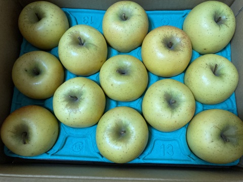 シナノゴールド💛家庭用約2.7Kg🍏青森県産　数量限定