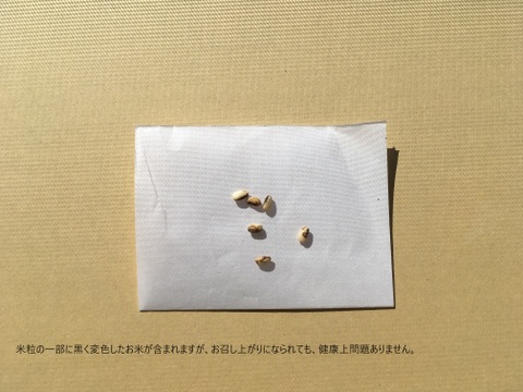 【2023産】　玄米　モチミノリ（もち米）　(約3.0㎏≒20合)
