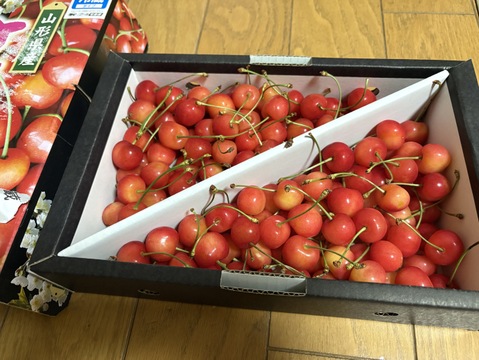 【 さくらんぼ:紅秀峰 】 山形県天童産   1kgバラ詰め【 最終2日間限定10箱🍒 】御中元•ご家庭用【 朝どれ 】