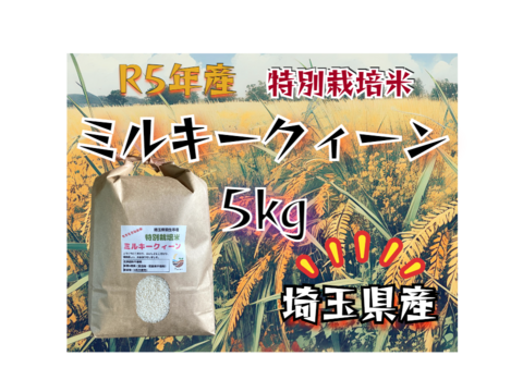 R5年産☆埼玉県産☆特別栽培米ミルキークィーン　5㎏