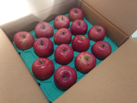 【販売開始！人気商品】青森県産りんご「サンふじ」家庭用 キズ有 約5kg【美味・光センサー選果済】