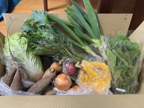 【福袋】今年一年の感謝を込めた冬の高原野菜セット