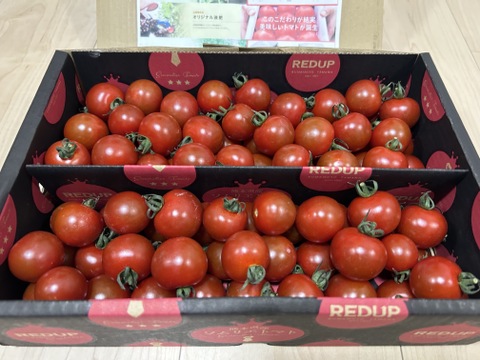 【塩トマトのようなフルーツトマト】ソムリエミニトマト　ダイヤ
箱込み１.５ｋｇ（７５玉～９０玉）