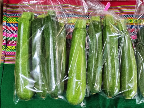 完熟ミニトマト1ｋｇ+きゅうり20本+ズッキーニ8本★　パチャママ農園