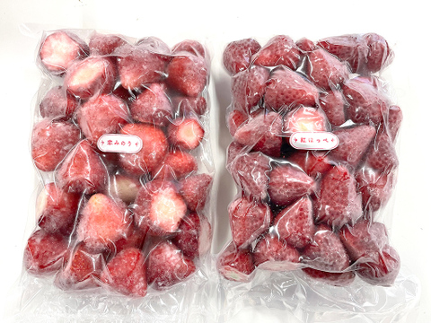 冷凍いちご（品種おまかせ）1.6kg（800gx2袋）【お菓子、ジャム作りに！】
