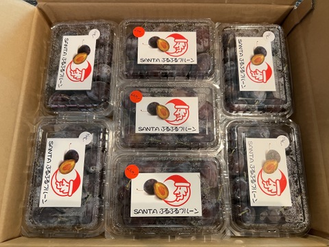 完熟生プルーン　普通品　５キロ箱　限定再販売！　最終値引き中