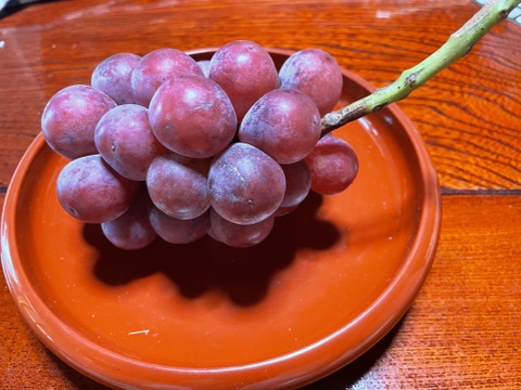 ク⑤【赤ブドウ・ クイーンニーナ】6房前後1.8kg前後　家庭用