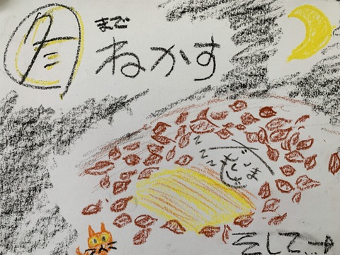 甘くて美味しい安納芋・種子島産・有機農業・ご家庭で焼きやすい中小サイズ・4kg