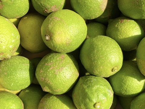 【訳ありだけど美味しさそのまま】グリーンレモン 1kg【防腐剤・ワックス不使用】