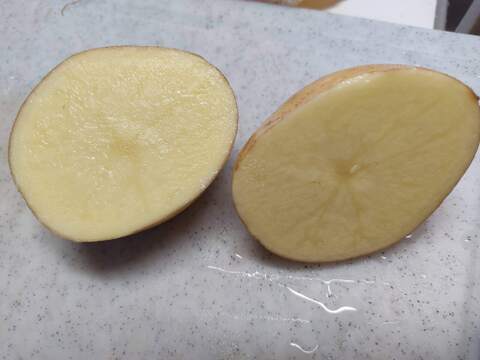 🥔採れたて新ジャガ✨農薬・化学肥料不使用「ニシユタカ」3kg　Lサイズ🥔