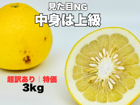土佐文旦 超訳あり｜見た目NGでも中身同じ 今が食べ頃 60日仕上げ 3kg お試し