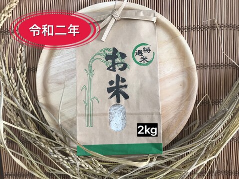東京直送!令和2年!【新米もち米】2kg