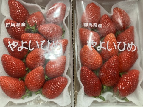 果汁たっぷり❗やよいひめ『群馬いちご』320g×4トレー（2箱）