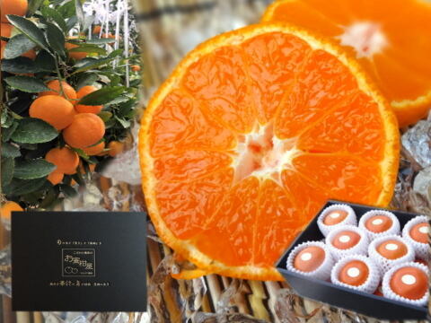 【夏ギフト】【お中元】とろける甘さのハウスみかん！薄皮で果汁たっぷり！冷やしてやみつき！ネットで話題のブランドみかん「蜜ツ星（みつぼし）」　黒化粧箱（中）　Ｓサイズ　秀品　１５玉入　【商品番号03】