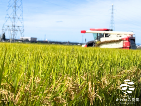 【令和7年産新米】新潟県産コシヒカリ精米5kg