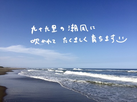 やみつき!【白子たまねぎ】小玉と中玉混ざり 9.5kg