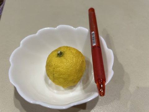 スダチ1kg(20個前後)黄色く完熟！農薬、除草剤不使用です！スダチマーマレードにも!