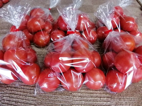 毎食トマト！バクバク食べちゃう栄ちゃんトマト　食べやすい小さめサイズ  たっぷり６キロ入り　
まとめ割り実施中❗️