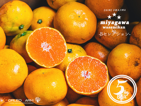 ■訳あり■傷あり不揃いの旨さ主義【EHIME UWAJIMA】とろける食感の絶品早生みかん！Bセレクション5kg
