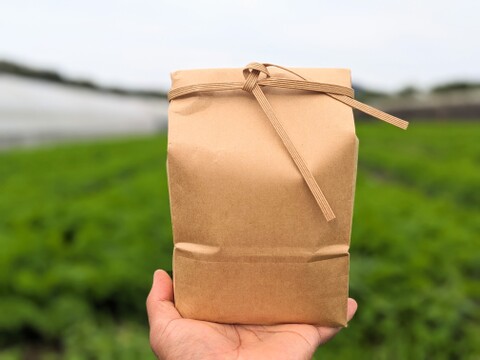 【とびっきりの甘熟野菜！】からだにやさしい野菜と新米セット